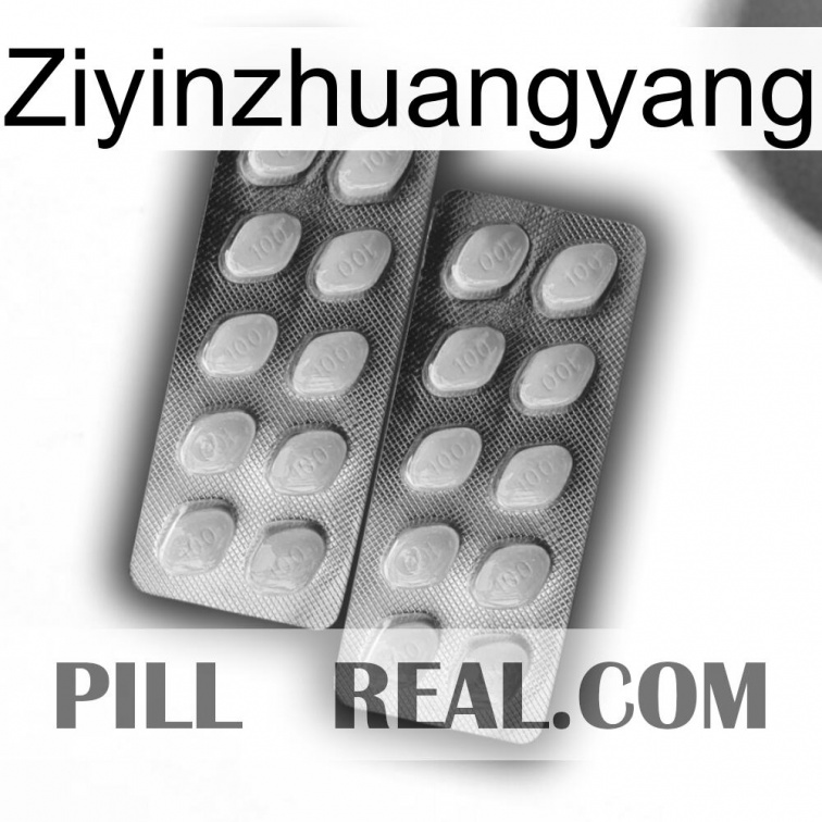 Ziyinzhuangyang 10